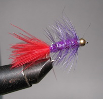 ���� Woolly Bugger  purple / red � 10 